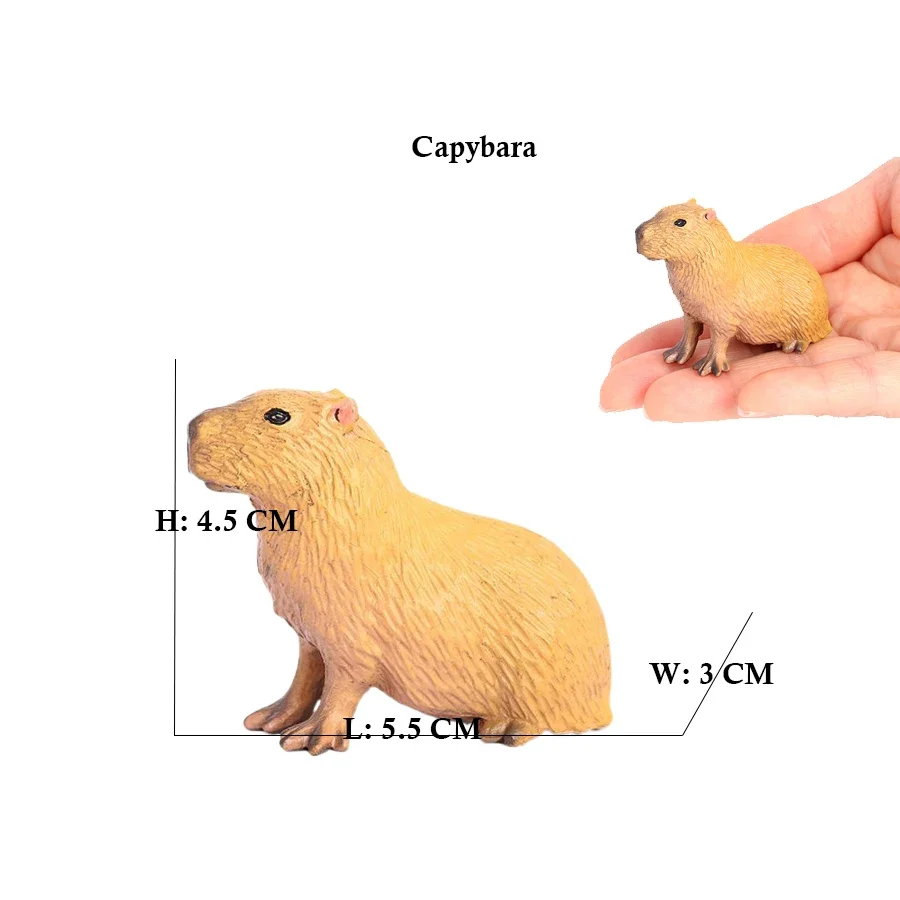 Plastic Capibara Model Toys Ca - Kids Toys Reviews ulasan dan harga