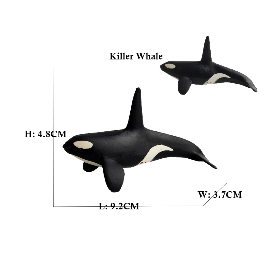 Marine Animals Toy Megalodon B - Kids Toys Reviews ulasan dan harga
