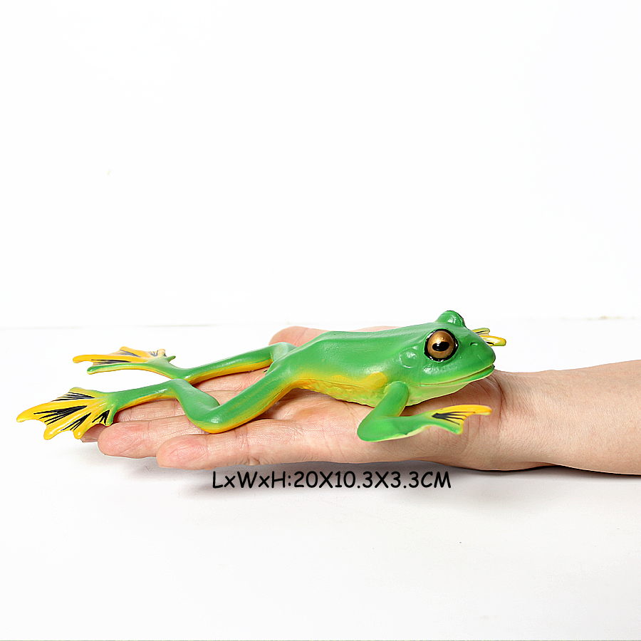 Frogs Models Wild Animals Figu - Kids Toys Reviews ulasan dan harga